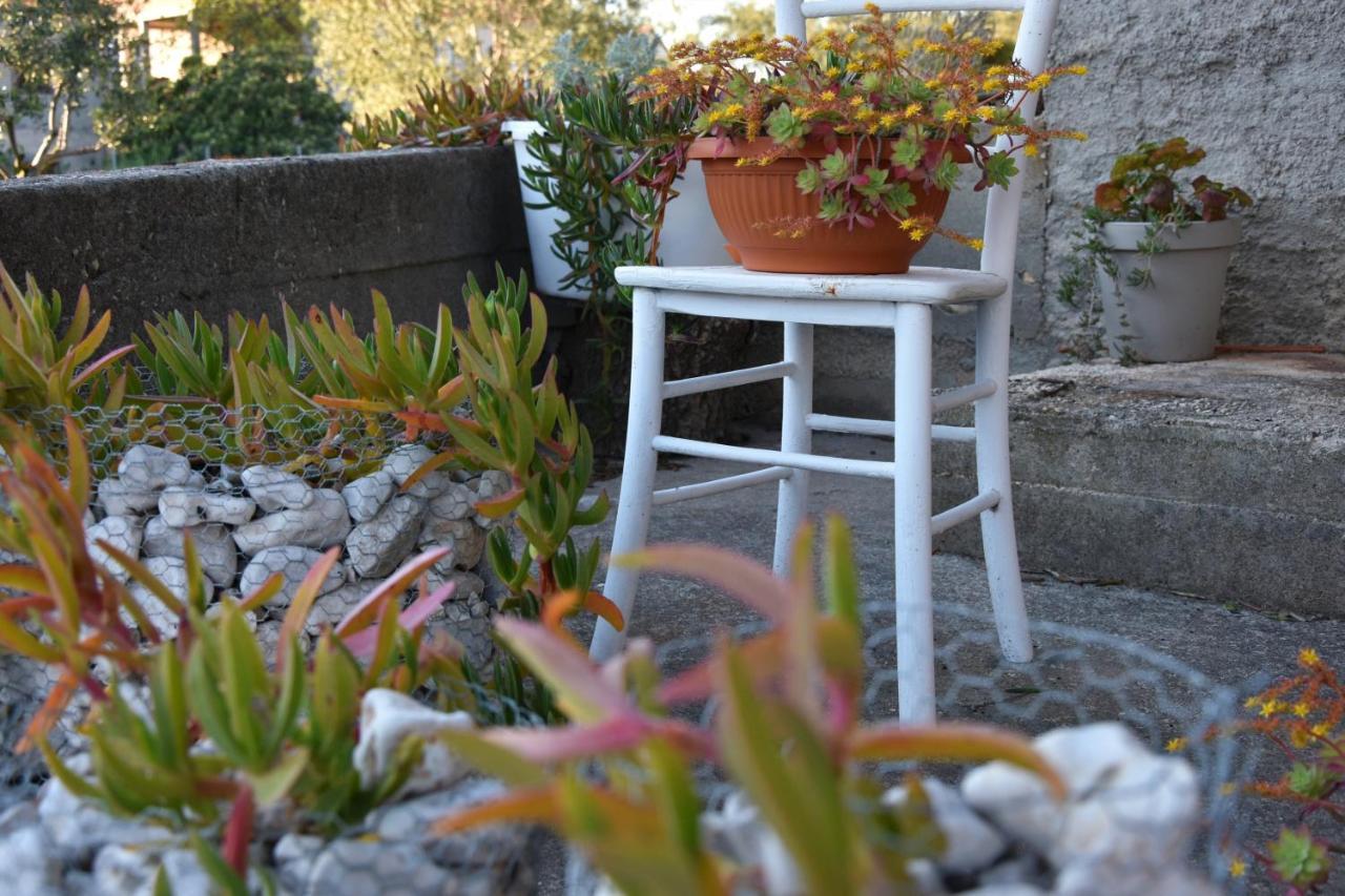 זאדאר Greenvine Apartment מראה חיצוני תמונה