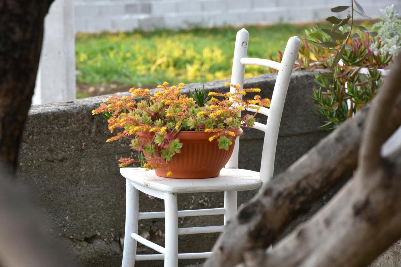 זאדאר Greenvine Apartment מראה חיצוני תמונה